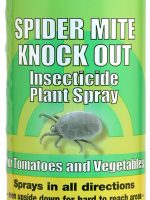 Spider Mite Knock Out Pint (12/