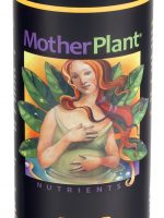 HydroDynamics Mother Plant B 1Q