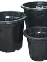 Black 3Q bucket