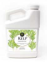 Age Old Kelp – 1QT